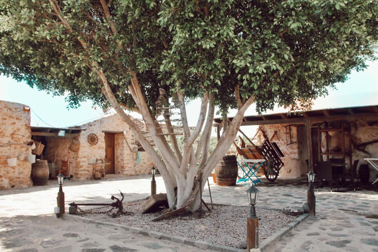 Agroturismo La Gayria Tiscamanita Exterior foto