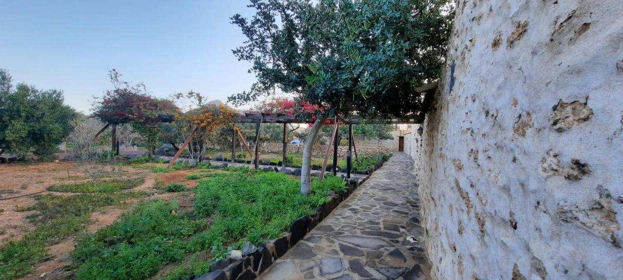 Agroturismo La Gayria Tiscamanita Exterior foto